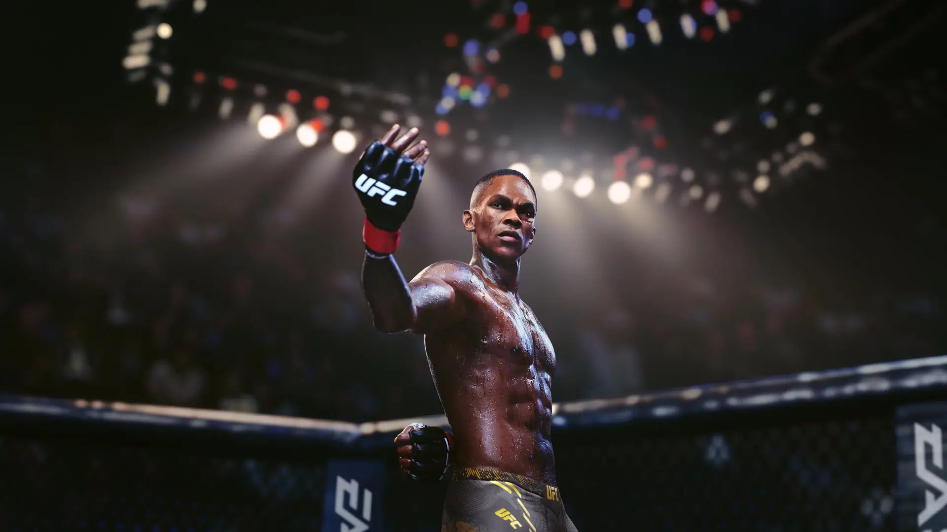 UFC 5